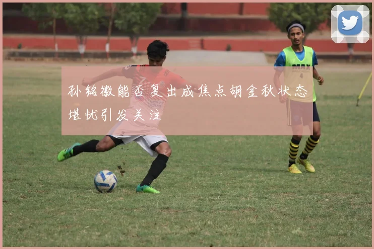 孙铭徽能否复出成焦点胡金秋状态堪忧引发关注