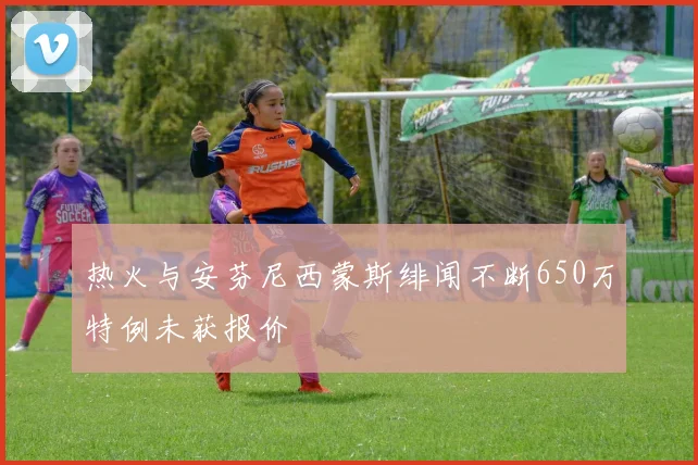 热火与安芬尼西蒙斯绯闻不断650万特例未获报价