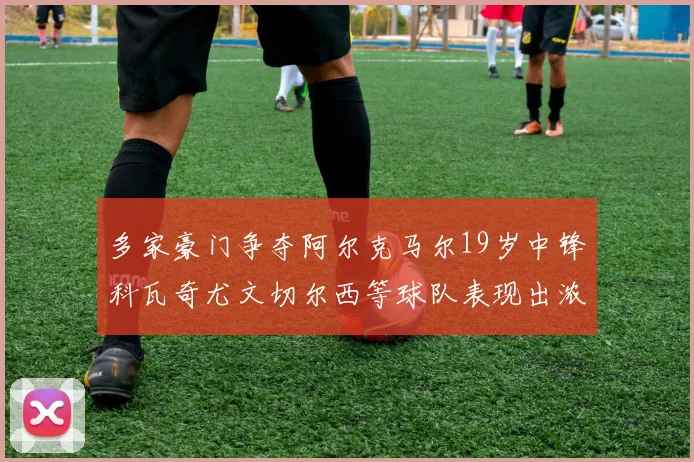 多家豪门争夺阿尔克马尔19岁中锋科瓦奇尤文切尔西等球队表现出浓厚兴趣