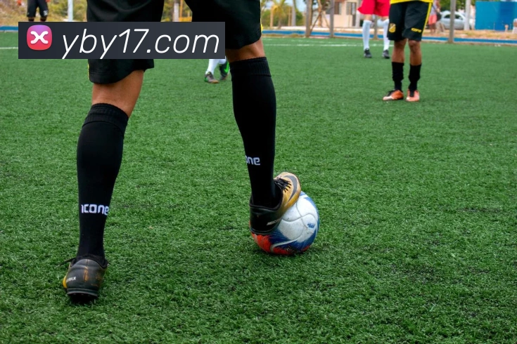 数据分析功能